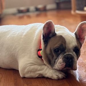 Meet your Posher, Wendy